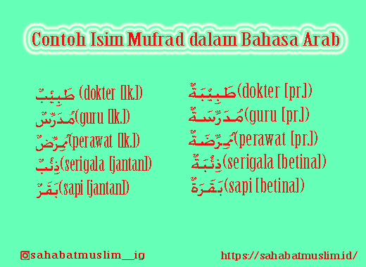 10 Contoh Mufrad Mutsanna Jamak