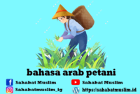 Bahasa Arab Petani